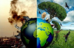 Sulla strada ci sono dei rifiuti abbandonati, ho l’obbligo di rimuoverli?