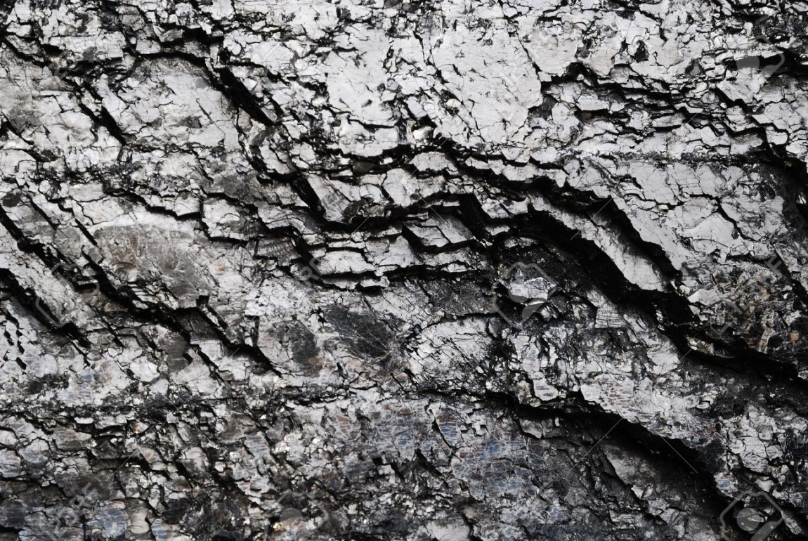 Relazione geologica e geologo anche in caso di mancata previsione nel bando