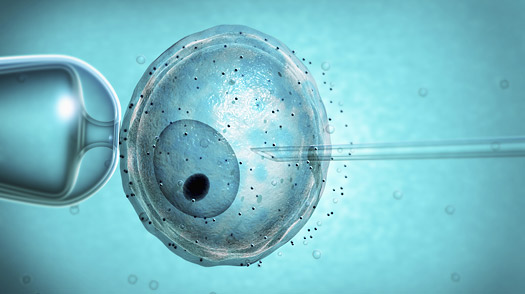 PROCREAZIONE ASSISTITA: non è più reato selezionare gli embrioni