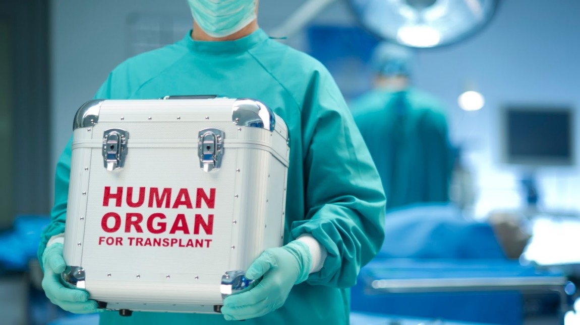 Il nuovo reato di traffico di organi prelevati da persone viventi