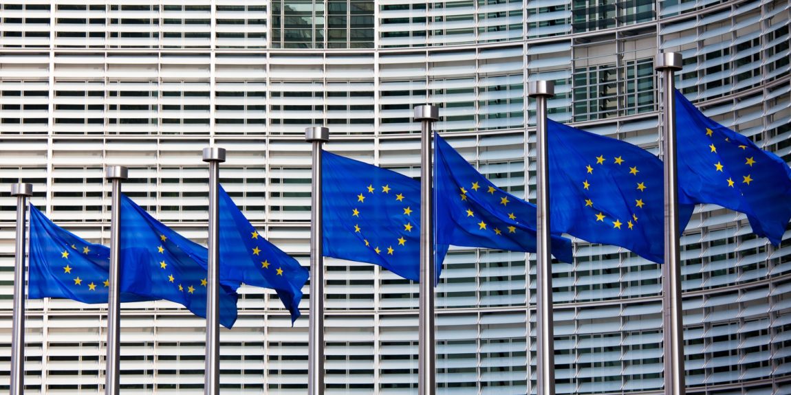 La protezione dei diritti fondamentali nell’Unione Europea