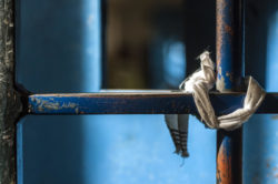 Il sistema carcerario italiano ed una politica senza coraggio