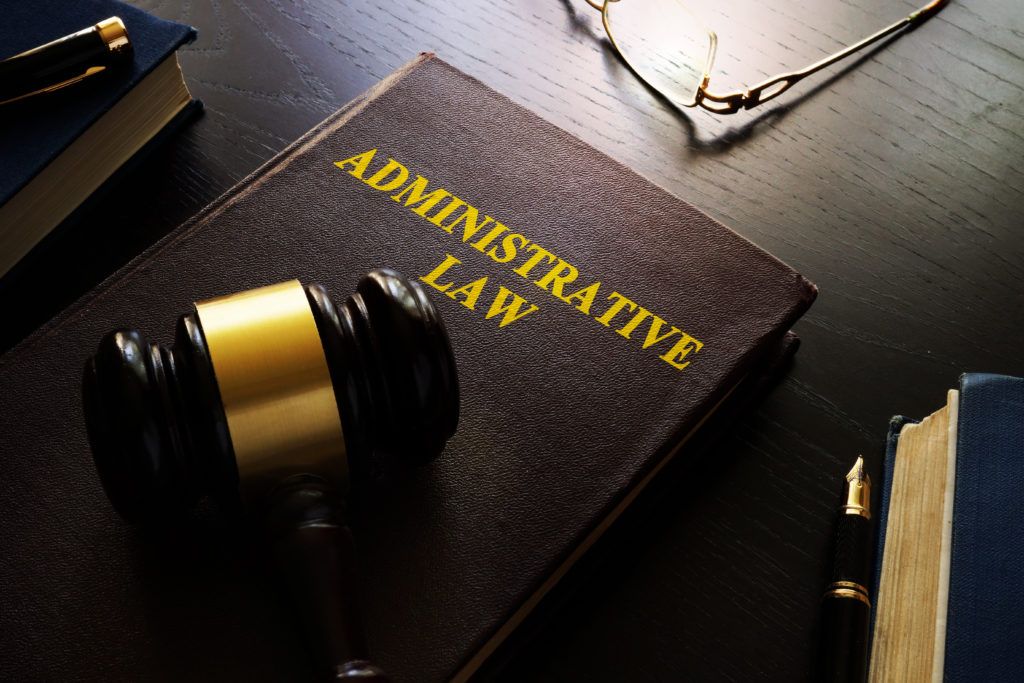 I regolamenti amministrativi illegittimi: la tutela giurisdizionale e la posizione dei terzi-controinteressati