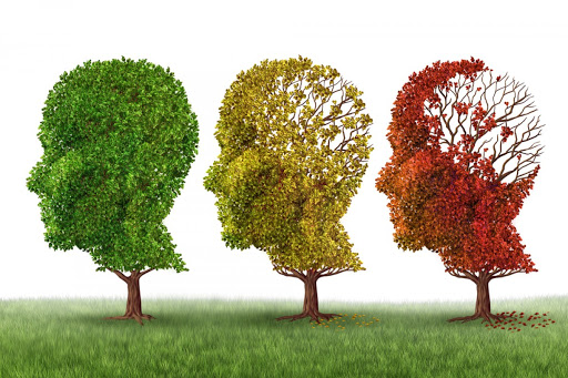 Le rette dei ricoveri in RSA dei malati di Alzheimer. Prestazioni di natura sanitaria e di natura socio-assistenziale