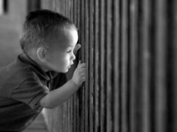 La paternità in carcere tra illegittimità costituzionale e (recenti) aperture giurisprudenziali