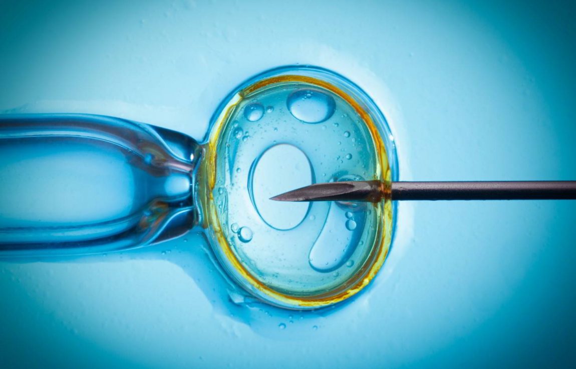 Sì all’impianto degli embrioni crioconservati senza il consenso dell’ex partner
