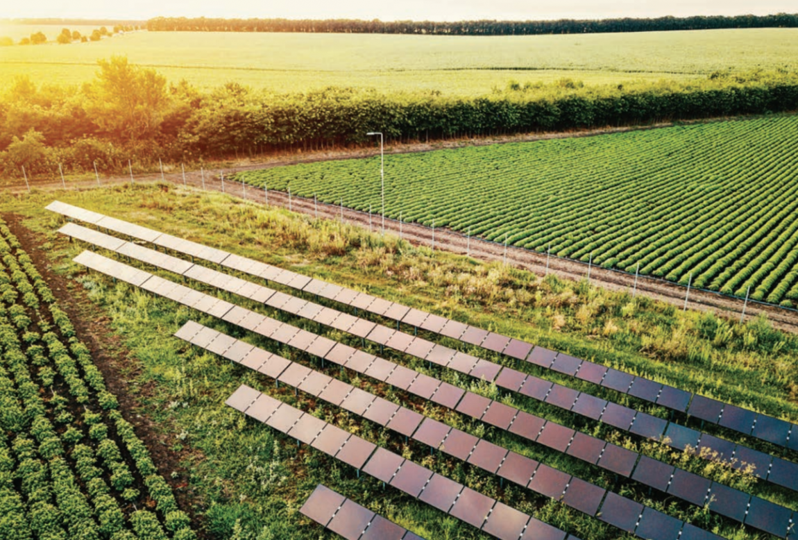 Il Consiglio di Stato sull’agrovoltaico