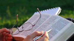 La scuola nel Codice di Diritto Canonico: commento ai canoni 800-806