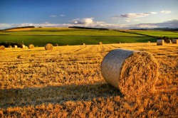 Regime fiscale degli atti nel processo agrario alla luce dei nuovi orientamenti ministeriali e giurisprudenziali
