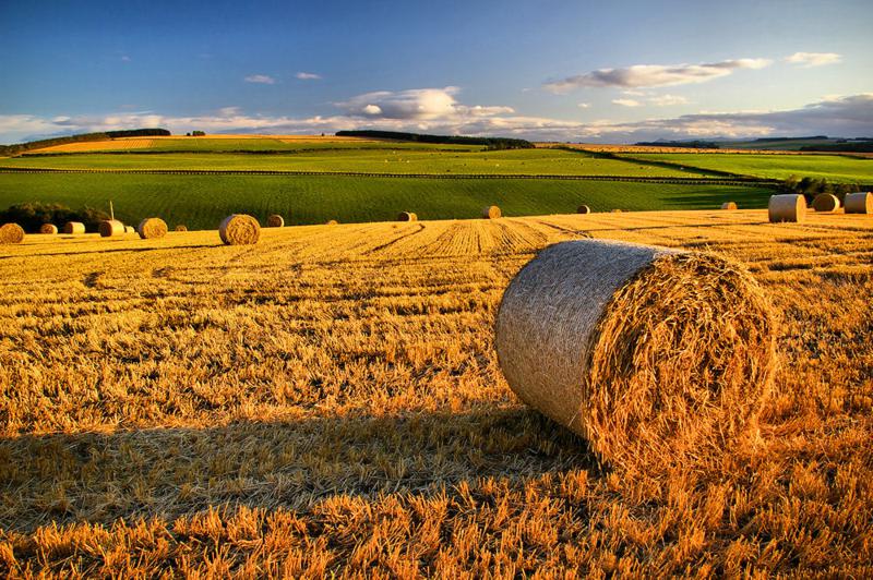 Regime fiscale degli atti nel processo agrario alla luce dei nuovi orientamenti ministeriali e giurisprudenziali