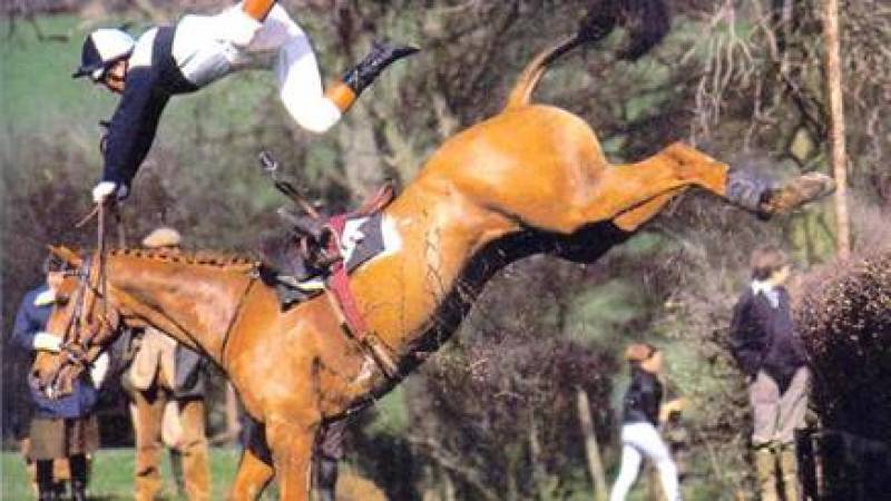 Sono caduto da cavallo, posso chiedere il risarcimento dei danni?