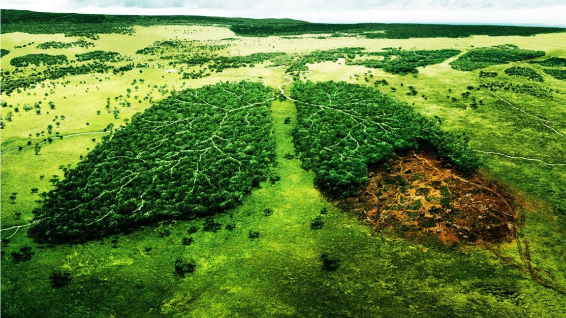 L’ambiente e la public administration in Brasile: economia e diritto a confronto