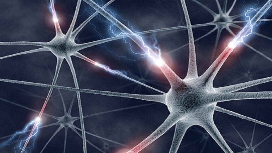 Indennità di accompagnamento, va riconosciuta anche a chi è affetto da patologie neurologiche