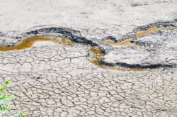 Terreni abbandonati dalle acque fluviali: quale ne è la sorte?