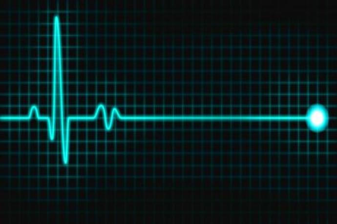 L’evoluzione e le varie sottocategorie del danno terminale