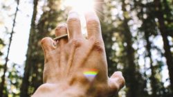 Biotestamento: profili normativi e limiti