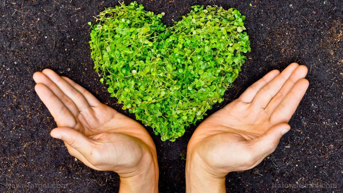 Il new age e la deificazione della natura. Breve riflessione sulla recente modifica dell’art. 9 Cost.