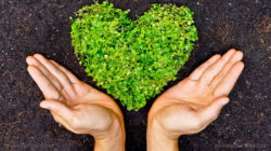 Il new age e la deificazione della natura. Breve riflessione sulla recente modifica dell’art. 9 Cost.