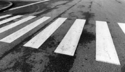 L’automobilista non è responsabile se l’attraversamento del pedone è improvviso