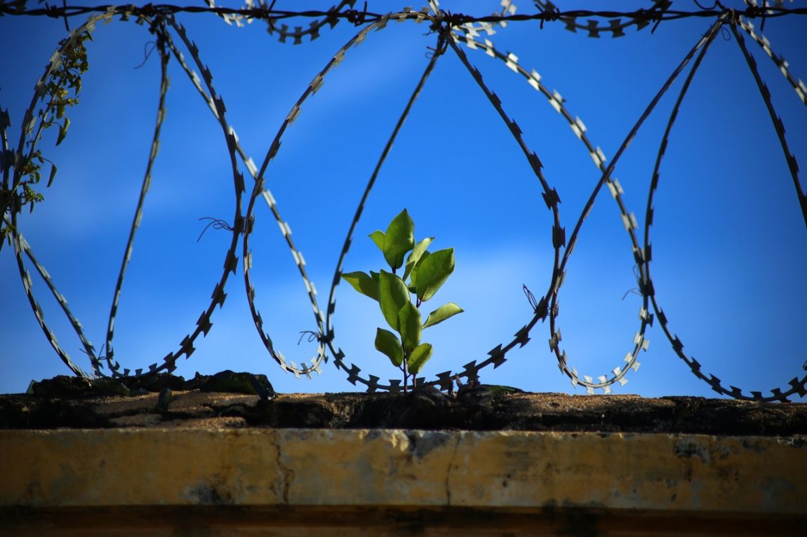 L’ergastolo “ostativo” alla redenzione del detenuto. Dalla pronuncia CEDU al nuovo orientamento della nostra Corte Costituzionale