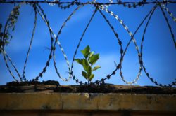 L’ergastolo “ostativo” alla redenzione del detenuto. Dalla pronuncia CEDU al nuovo orientamento della nostra Corte Costituzionale