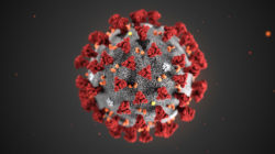 Il Coronavirus e i suoi effetti sul mercato