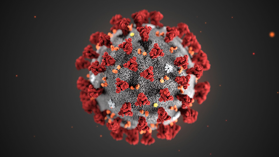 Il reato di epidemia colposa ai tempi del coronavirus