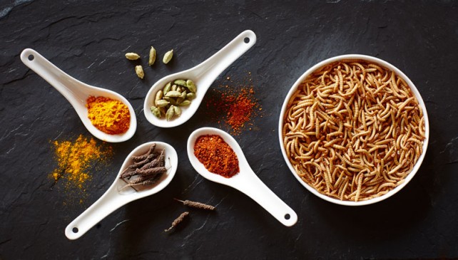 Riflessioni in materia di sicurezza alimentare. Risk regulation, Ogm e Novel Food.