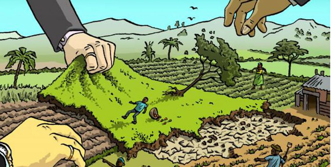 L’indennità di esproprio è commisurata al valore reale del terreno agricolo