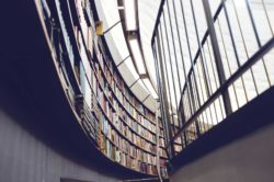 Ragionevole durata del processo e Cedu