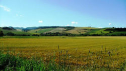 Opere di interesse strategico nazionale e conservazione degli habitat naturali e della flora e fauna selvatici