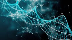 Reati di pericolo, principio di offensività e onde elettromagnetiche