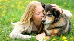 Il danno non patrimoniale per perdita dell’animale d’affezione