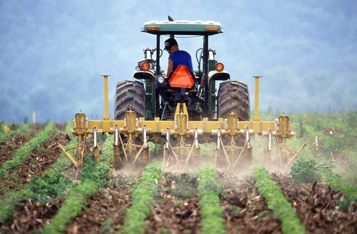 Internazionalizzazione delle PMI agroalimentari e gli strumenti predisposti a tale scopo