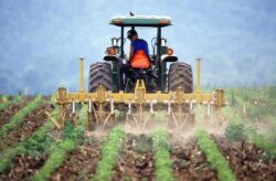 Internazionalizzazione delle PMI agroalimentari e gli strumenti predisposti a tale scopo