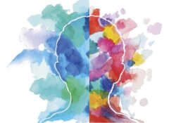 Mediazione, intelligenza emotiva, assenza di conflitto