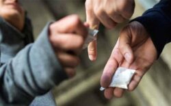 Produzione, traffico e detenzione illeciti di sostanze stupefacenti o psicotrope