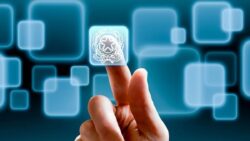 Qualità dei servizi pubblici e promozione dell’efficienza delle pubbliche amministrazioni e dei concessionari di servizi pubblici: partecipazione, controllo e tutela