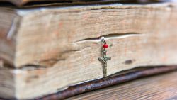 Il pane quotidiano tra Scrittura e Diritto