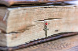 Il pane quotidiano tra Scrittura e Diritto
