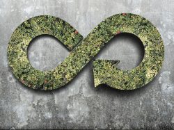 Economia circolare: analisi delle politiche europee