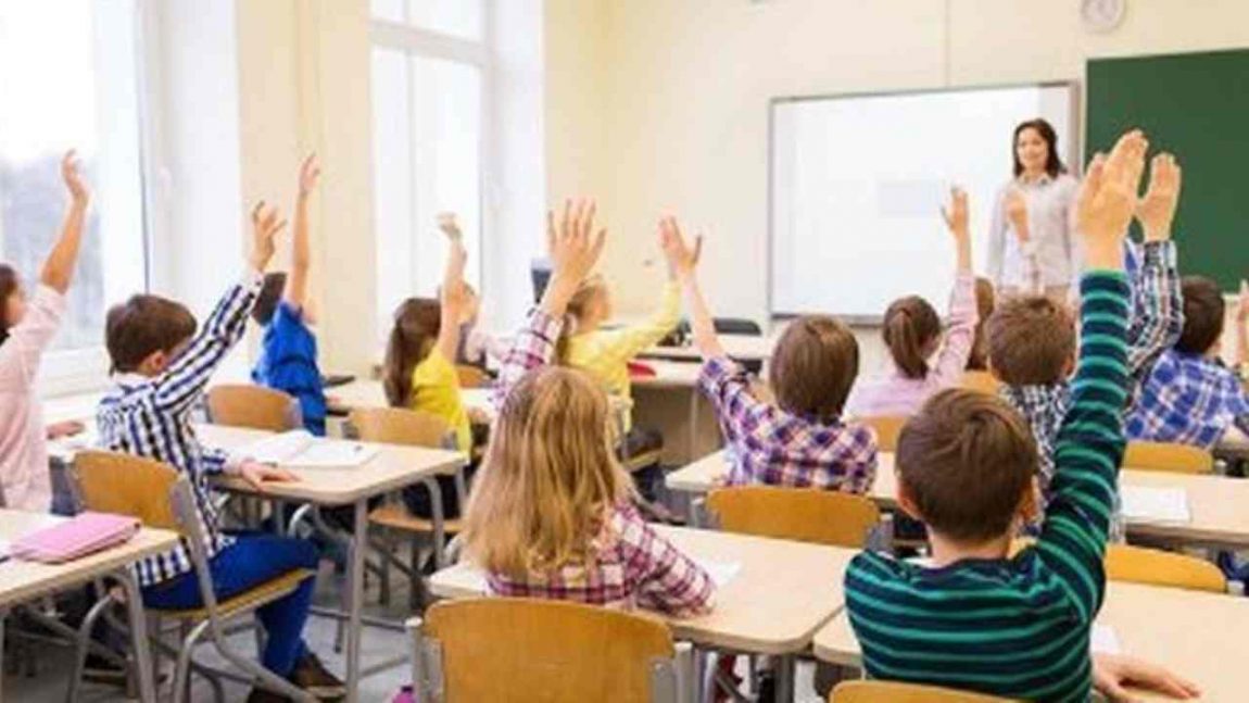 Classi pollaio: dalla prima class action pubblica ad oggi
