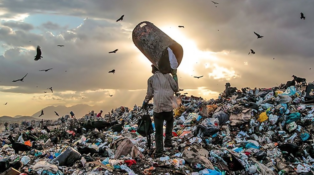 La confisca in materia ambientale