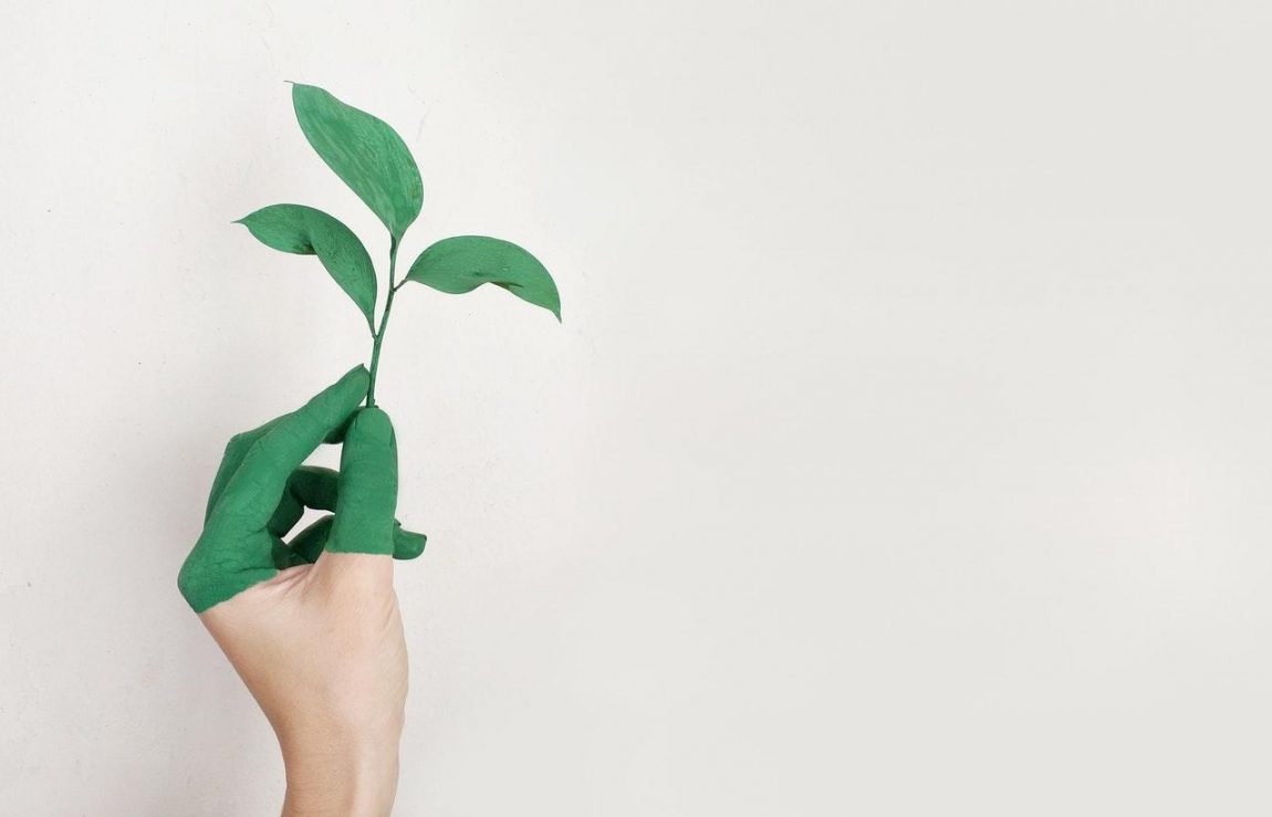 Il fenomeno del greenwashing e le normative per contrastarlo nel mondo