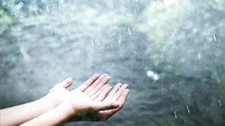 Natura giuridica dell’acqua piovana: nodi irrisolti e prospettive “funzionaliste”