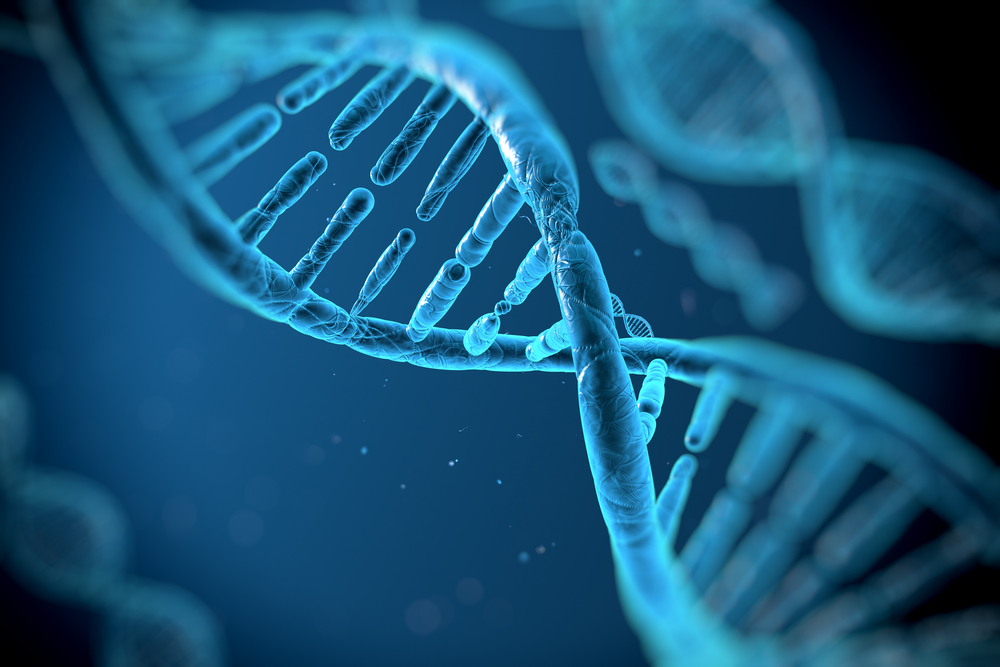 La brevettabilità delle invenzioni biotecnologiche