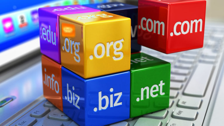 Domain name: distinguishing mark