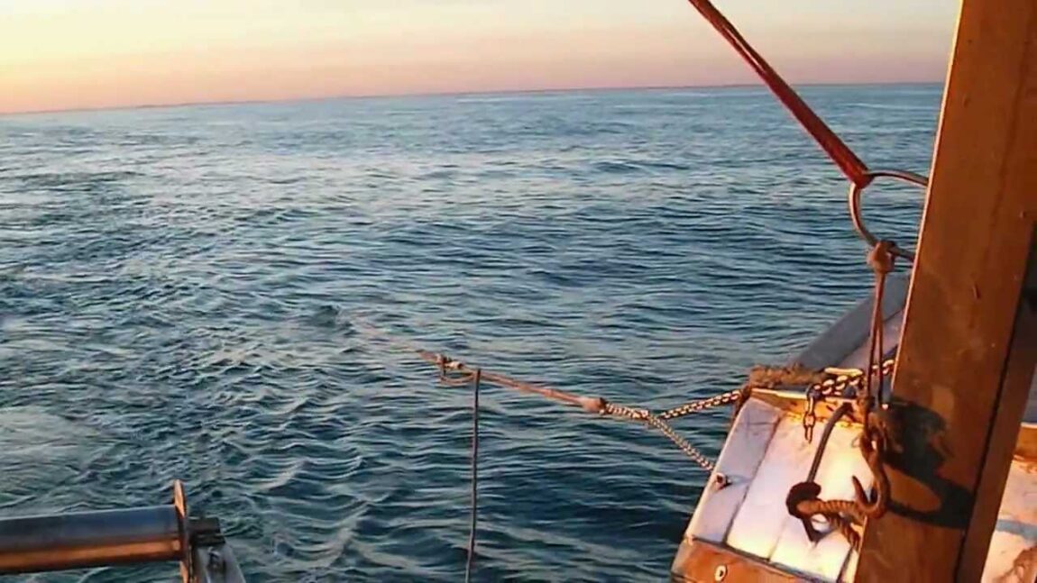 Sanzioni ai pescatori: illegittime le esclusioni dal FEAMP