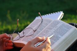 La scuola nel Codice di Diritto Canonico: commento ai canoni 800-806