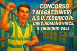 Ricorso Magazzinieri Federico II: il tirocinio vale, il TAR conferma l’ammissione